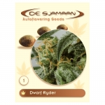 Dwarf Ryder Autoflowering (De Sjamaan Cannabis Seeds) 1 seed