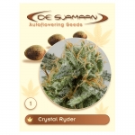 Crystal Ryder Autoflowering (De Sjamaan Cannabis Seeds) 1 seed
