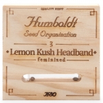 Lemon Kush Headband Feminized (Humboldt)
