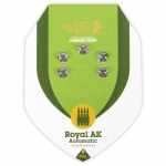 Royal AK Automatic (Royal Queen Seeds) 5 seeds