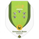 Amnesia Haze Automatic (Royal Queen Seeds) 5 seeds