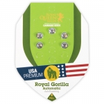 Royal Gorilla Automatic (Royal Queen Seeds) 5 seeds