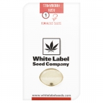 Strawberry Kush Feminzed (White Label Seeds) 1 seed
