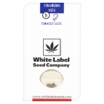 Strawberry Kush Feminzed (White Label Seeds) 5 seeds