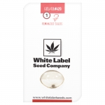 Gelato #420 Feminized (White Label Seeds) 1 seed