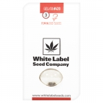 Gelato #420 Feminized (White Label Seeds) 3 seeds