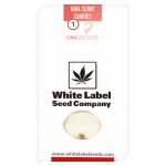 Girl Scout Cookies Feminized (White Label Seeds) 1 seed