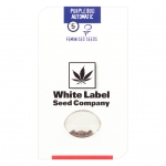 Purple Bud Automatic (White Label Seeds) 5 seeds