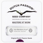 Autoblackberry Kush (Dutch Passion) 3 seeds