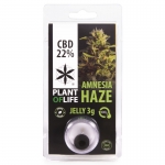 Amnesia Haze CBD Jelly 22% (Plant of Life) 3g