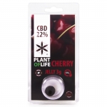 Cherry CBD Jelly 22% (Plant of Life) 3g