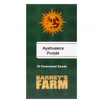 Ayahuasca Purple Feminized (Barney's Farm) 5 seeds
