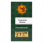 Tropicanna Banana Feminized (Barney's Farm) 5 seeds