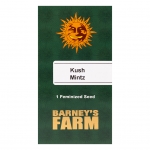Kush Mintz Feminized 1 seed (Barney's Farm)