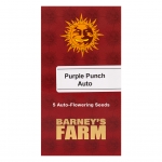 Purple Punch Auto (Barney's Farm) 5 seeds