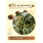Dwarf Ryder Autoflowering (De Sjamaan Cannabis Seeds) 5 seeds