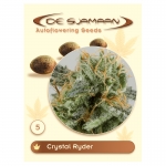 Crystal Ryder Autoflowering (De Sjamaan Cannabis Seeds) 5 seeds