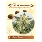 Widow Ryder Autoflowering (De Sjamaan Cannabis Seeds) 5 seeds