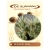 Shamanic Haze Feminised (De Sjamaan Cannabis Seeds) 3 seeds