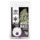 Critical Mass CBD Jelly 22% (Plant of Life)