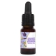 Ashwaganda Tincture 10ml (NL Naturals)