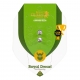 I Grow Can Royal Dwarf (Royal Queen Seeds)