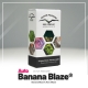 Auto Banana Blaze 3 seeds (Dutch Passion)