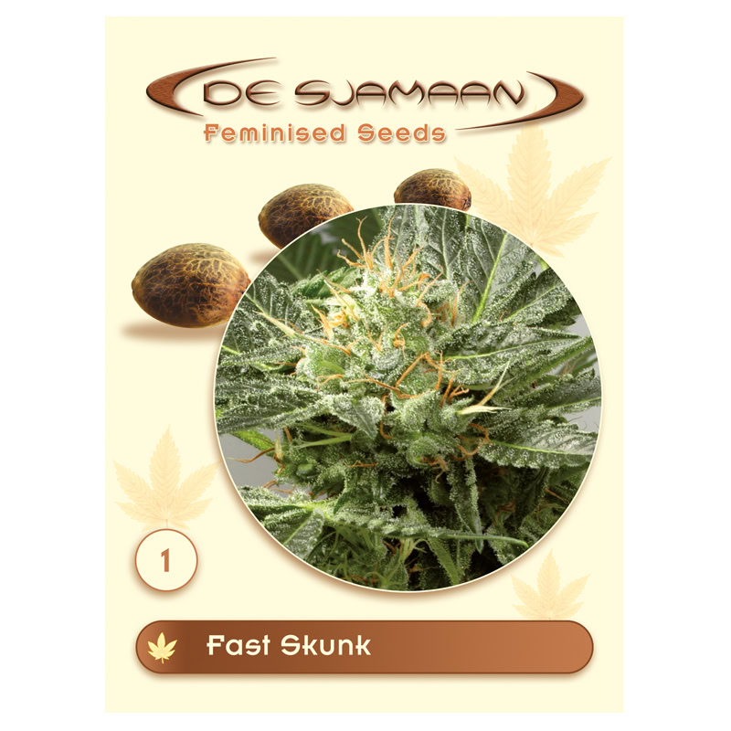 0600101_1 Fast Skunk Feminised 1 seed De Sjamaan Feminised Seeds Fast Skunk Feminised (De Sjamaan Cannabis Seeds) - Image 1