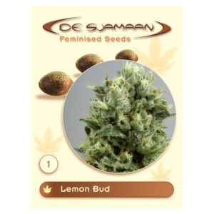 Lemon Bud Feminised (De Sjamaan Cannabis Seeds)