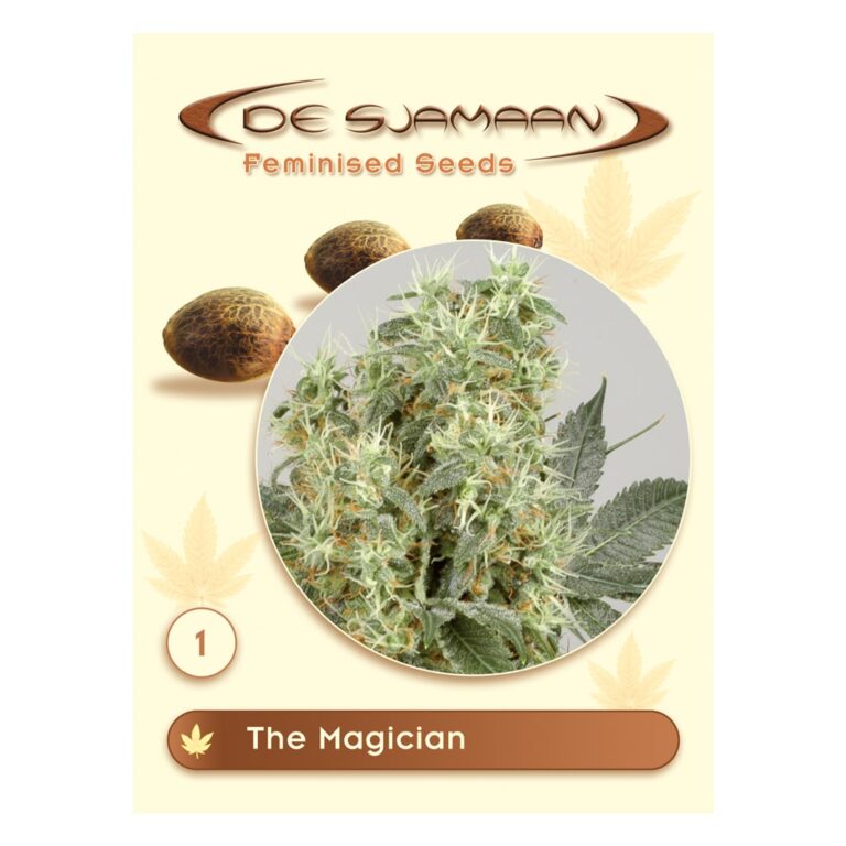 The Magician Feminised (De Sjamaan Cannabis Seeds)