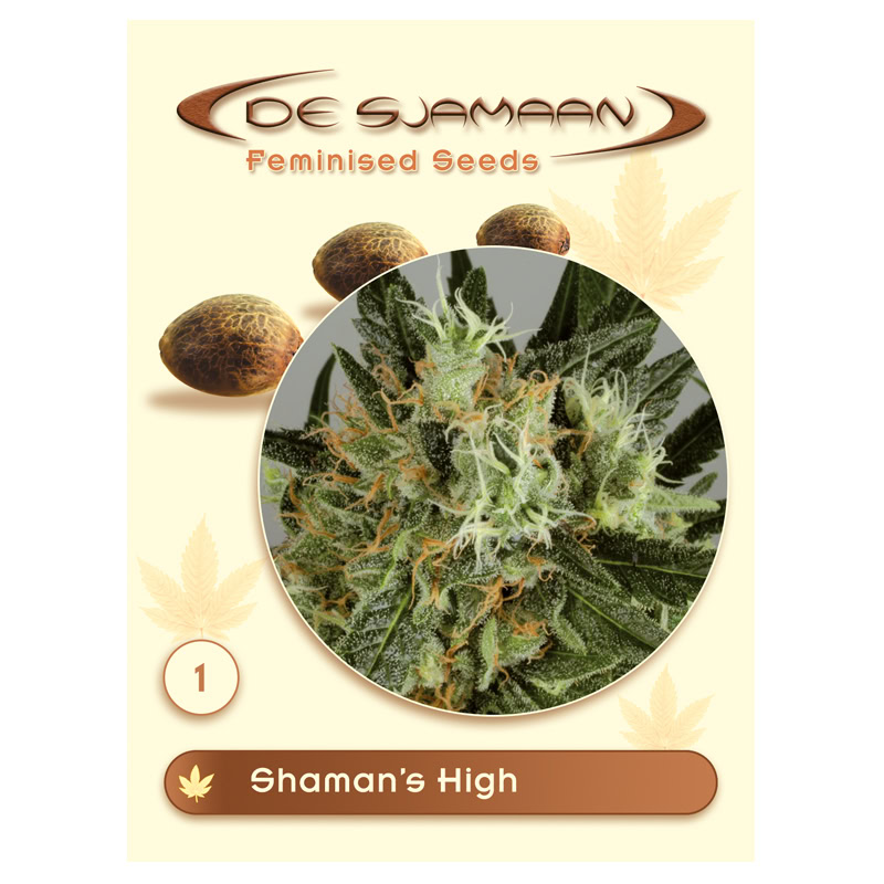 0600701_1 Shaman's High Feminised 1 seed De Sjamaan Feminised Seeds Shaman's High Feminised (De Sjamaan Cannabis Seeds) - Image 1