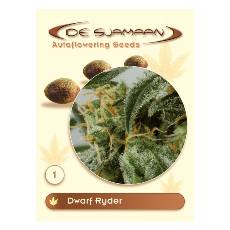 Dwarf Ryder Autoflowering (De Sjamaan Cannabis Seeds)