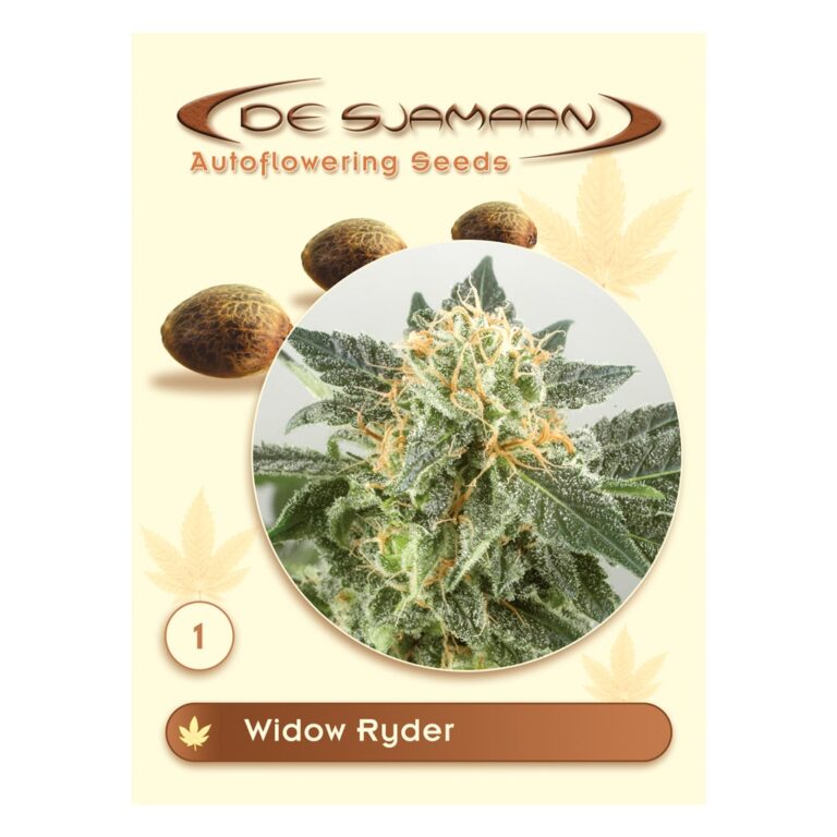 Widow Ryder Autoflowering (De Sjamaan Cannabis Seeds)