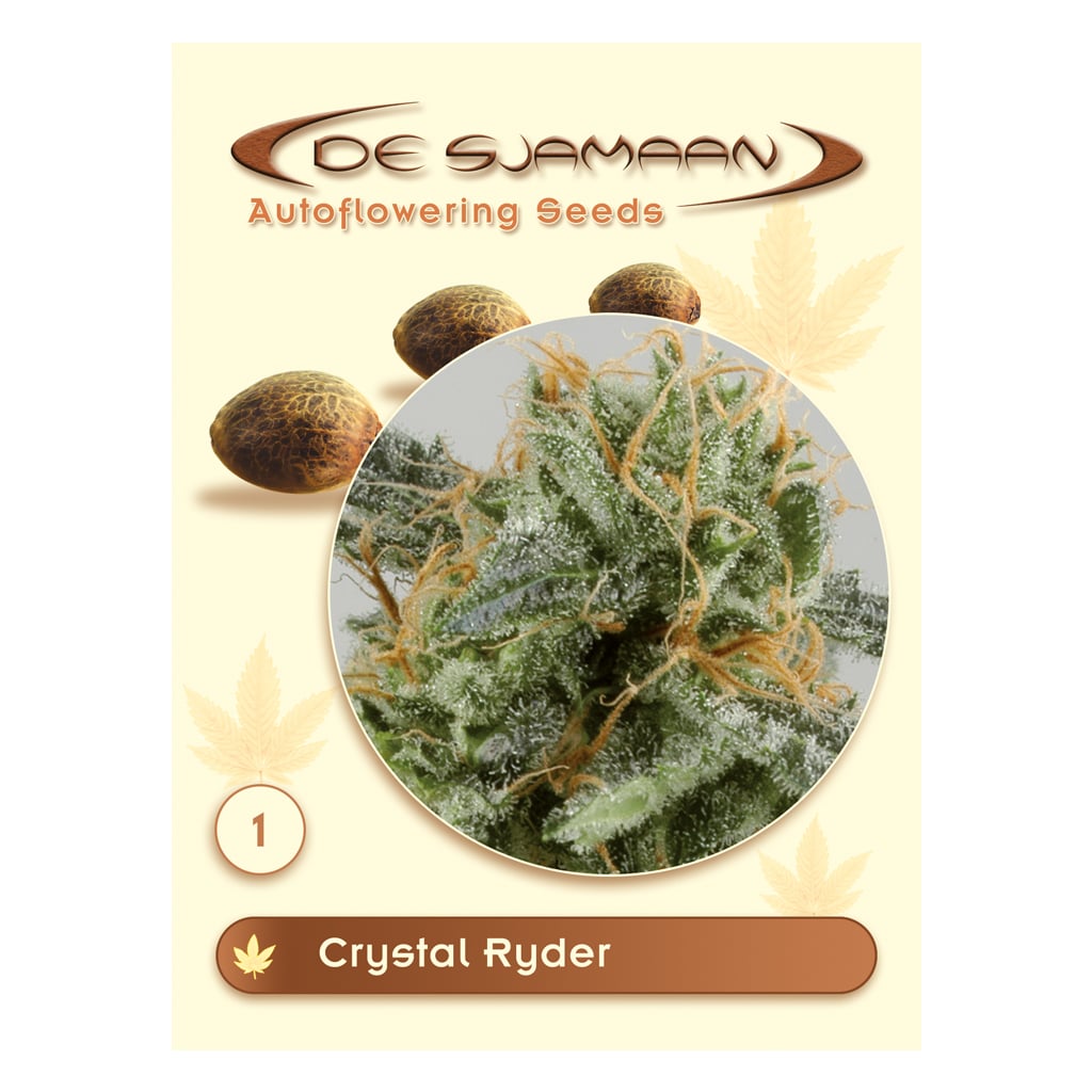 Crystal Ryder Autoflowering (De Sjamaan Cannabis Seeds)