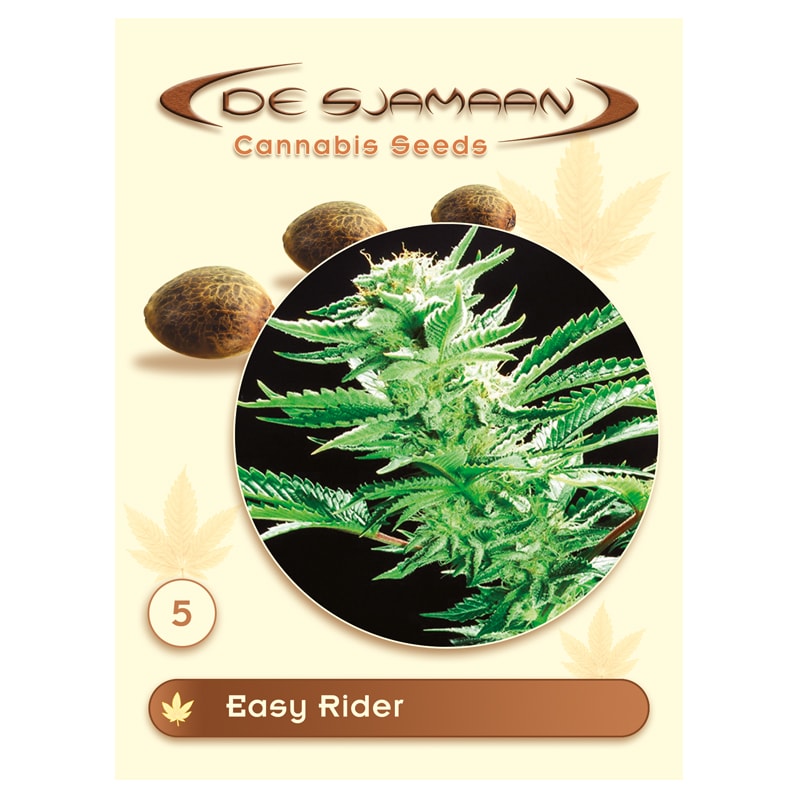 Easy Rider 5 seeds (De Sjamaan Cannabis Seeds)