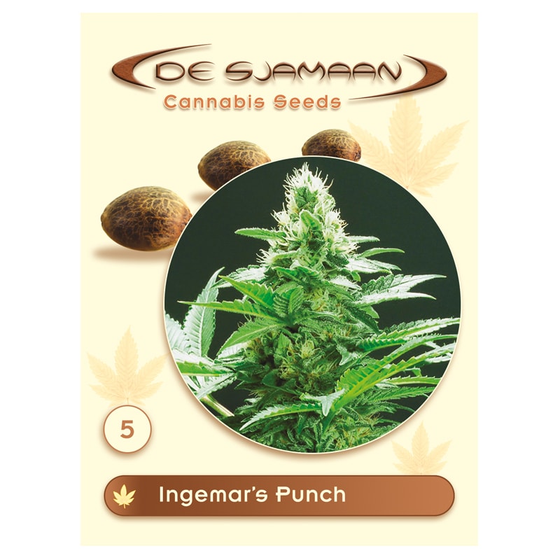 Ingemar's Punch 5 seeds (De Sjamaan Cannabis Seeds)