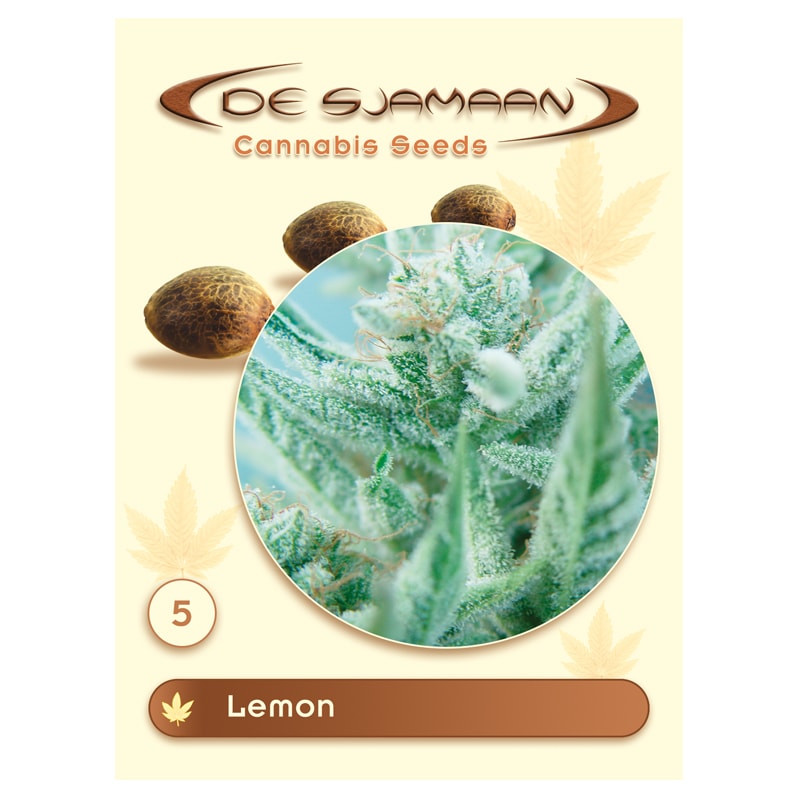 Lemon 5 seeds (De Sjamaan Cannabis Seeds)