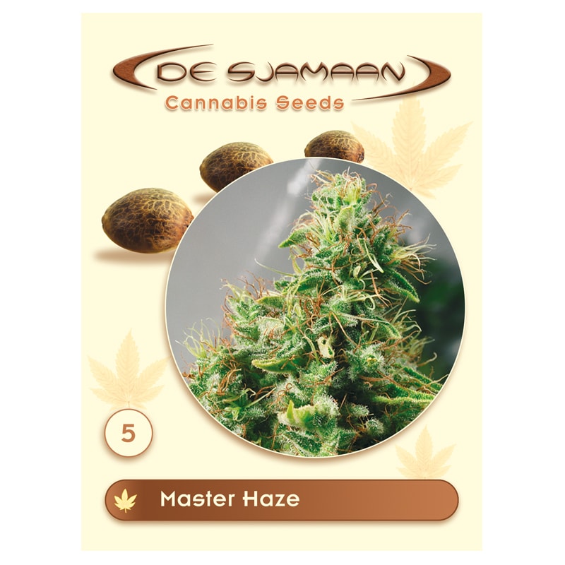 Master Haze 5 seeds (De Sjamaan Cannabis Seeds)