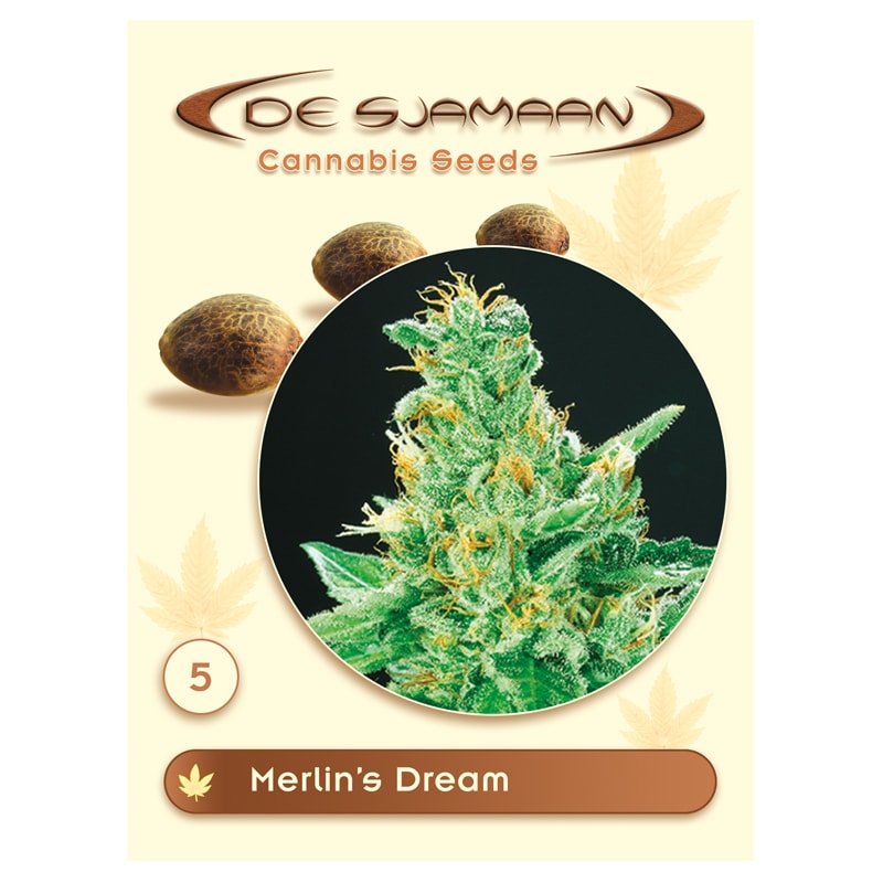 Merlin's Dream 5 seeds (De Sjamaan Cannabis Seeds)