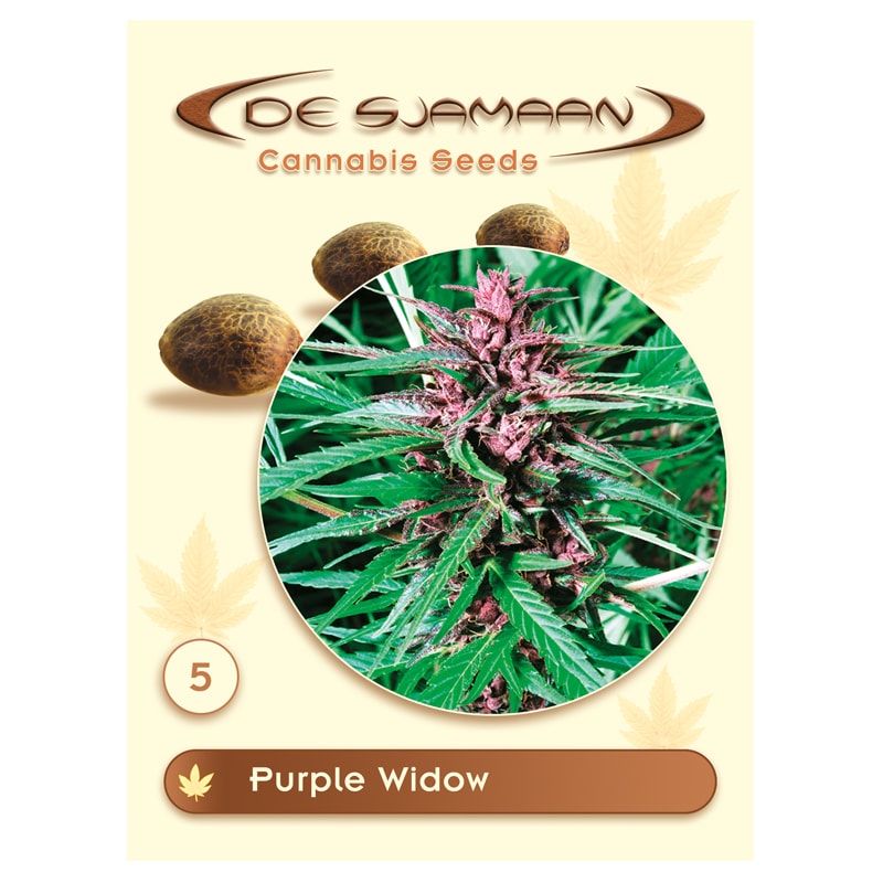 Purple Widow 5 seeds (De Sjamaan Cannabis Seeds)