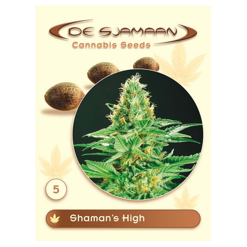 Shaman's High 5 seeds (De Sjamaan Cannabis Seeds)