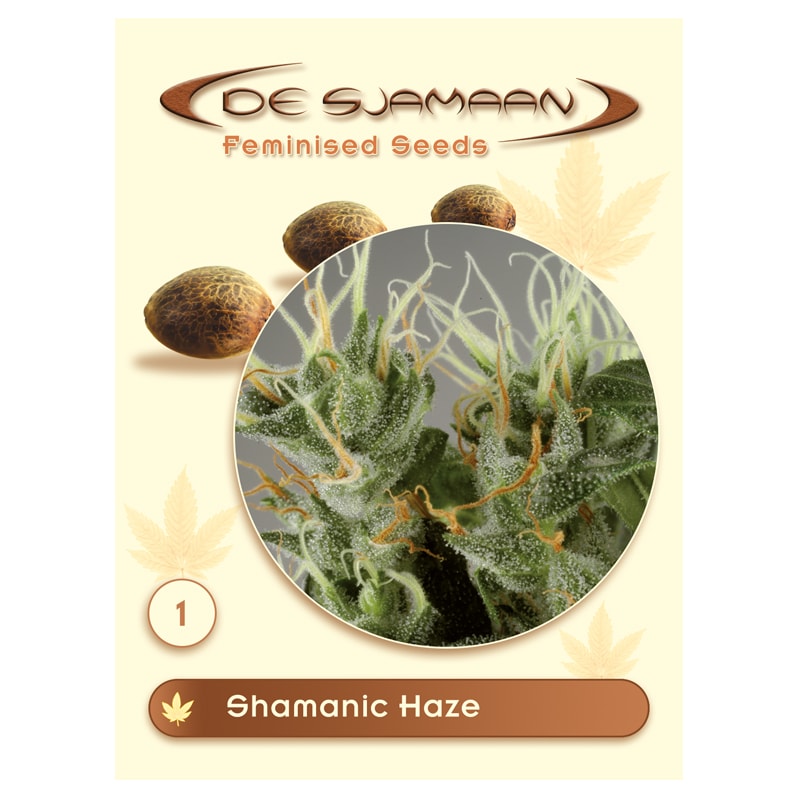 Shamanic Haze Feminised (De Sjamaan Cannabis Seeds)