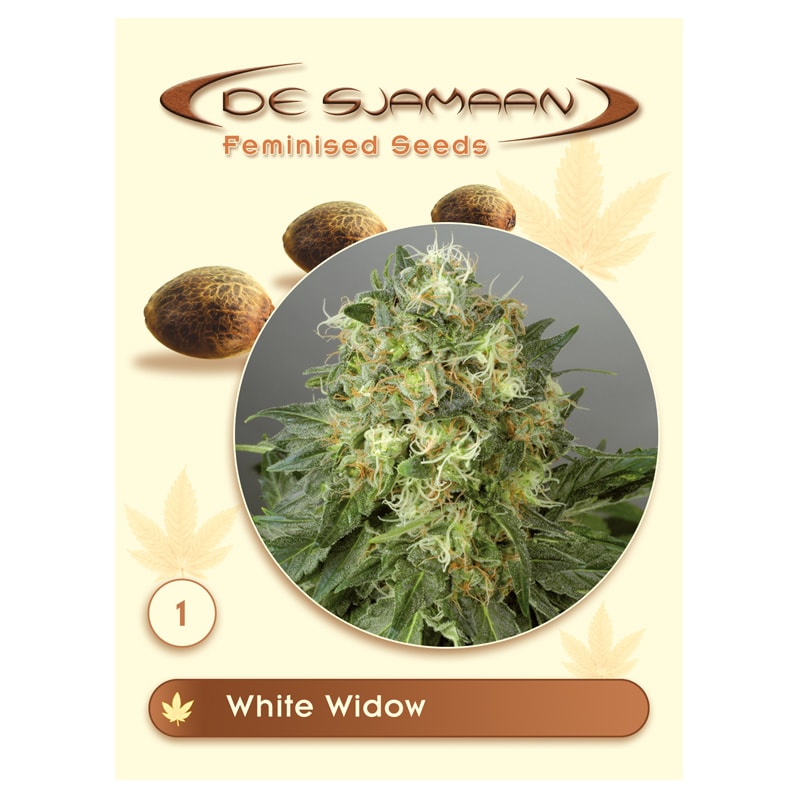 White Widow Feminised (De Sjamaan Cannabis Seeds)