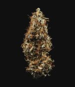 HulkBerry Automatic 3 seeds (Royal Queen Seeds)