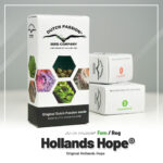 Hollands Hope Feminized (Dutch Passion)