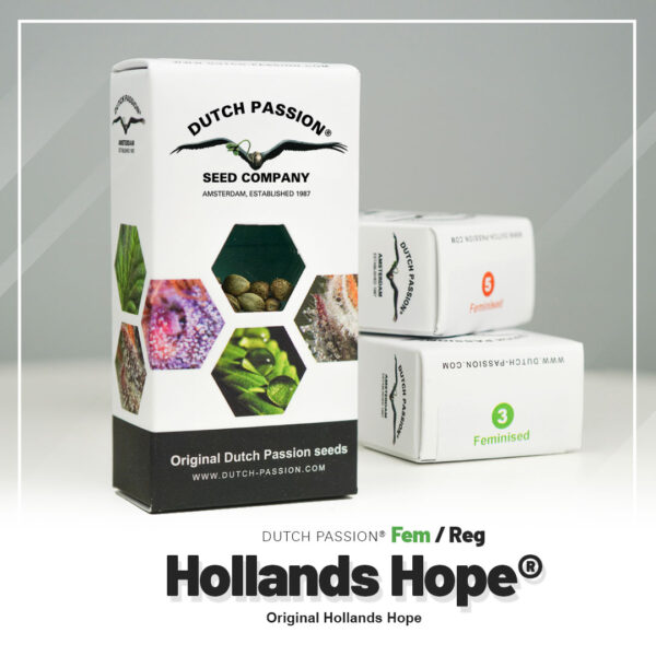 Hollands Hope Feminized (Dutch Passion)