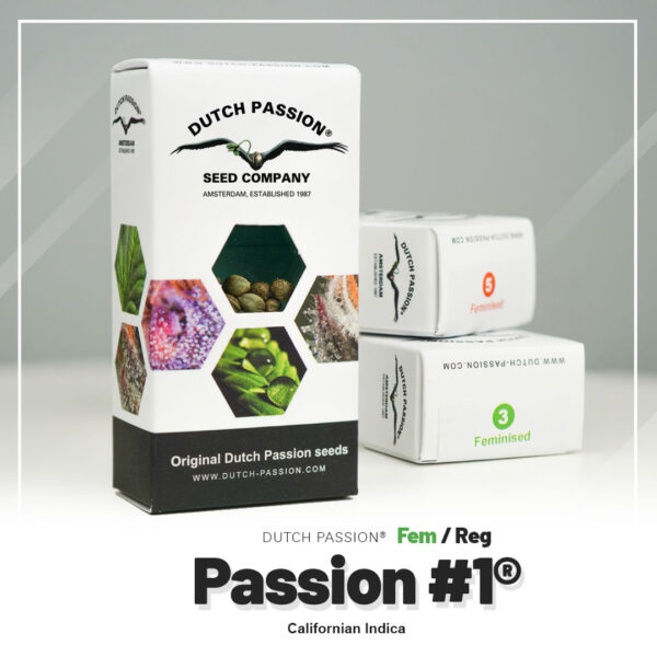 Passion #1 Feminized 3 seeds (Dutch Passion)