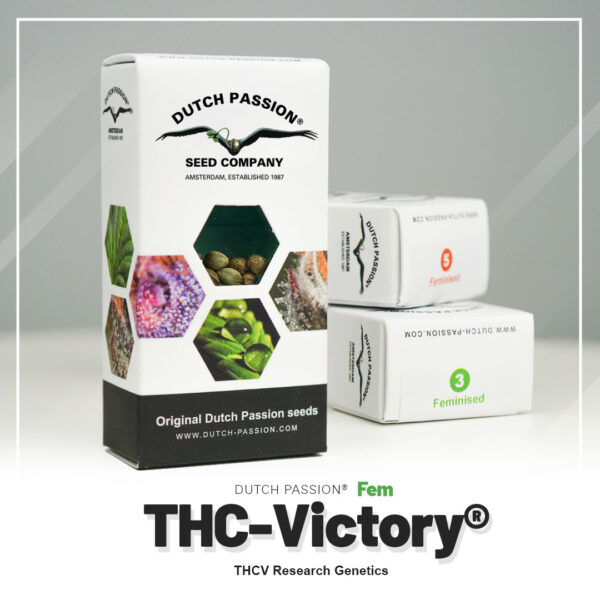 Auto THC-Victory High THC-V 3 seeds (Dutch Passion)