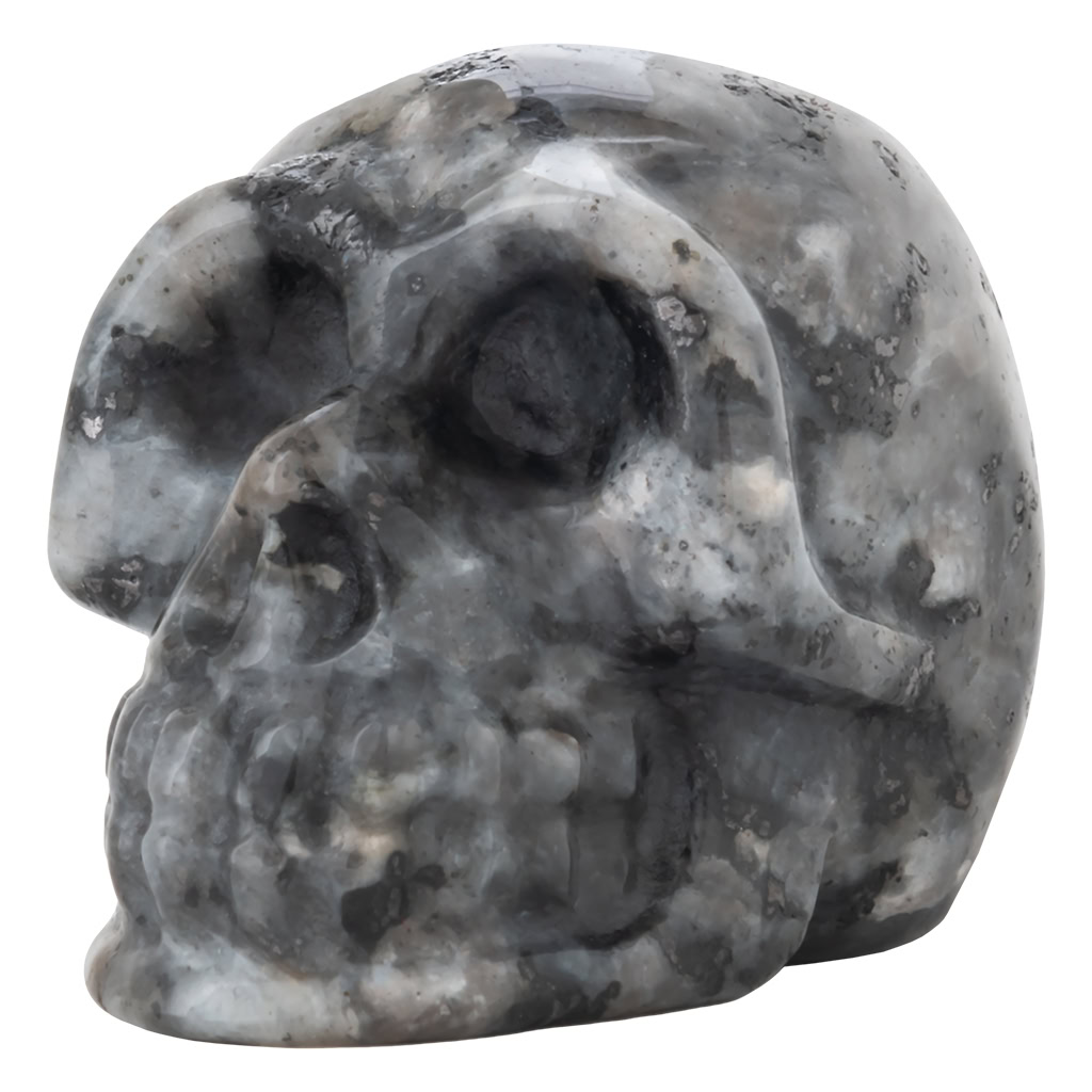 Crystal Skull Black Labradorite (Gothic)
