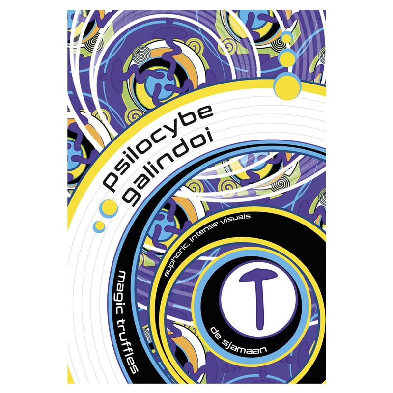 Psilocybe Galindoi Magic Truffles